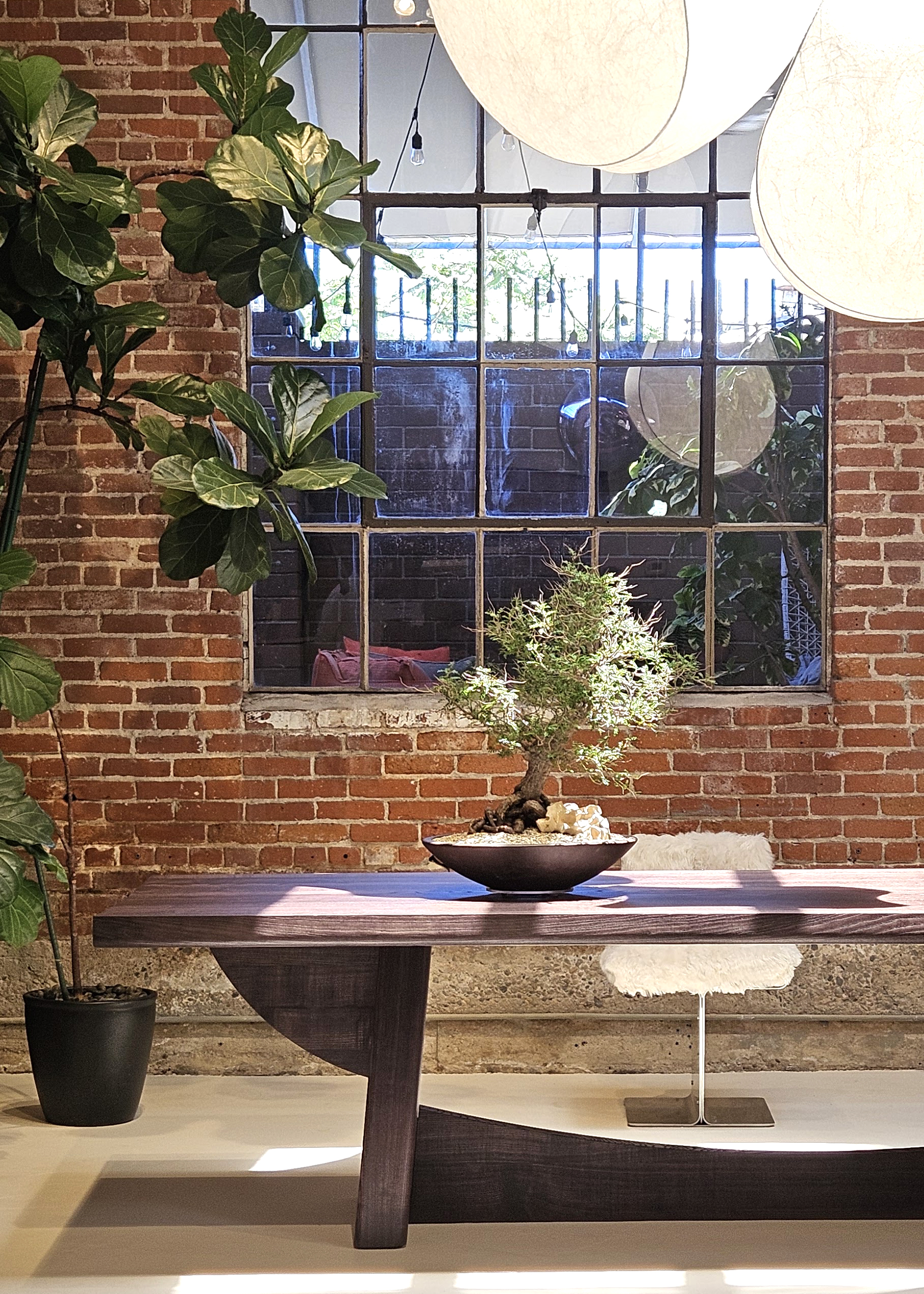 table éclipse la chance Anthony Guerrée