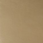 LIGHT ANILINE LEATHER material